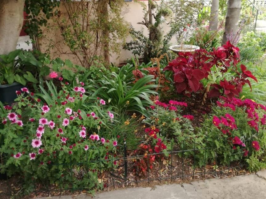 Squirrels Corner Bed & Breakfast Montagu Luaran gambar