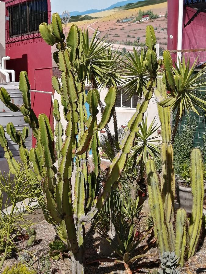 Squirrels Corner Bed & Breakfast Montagu Luaran gambar
