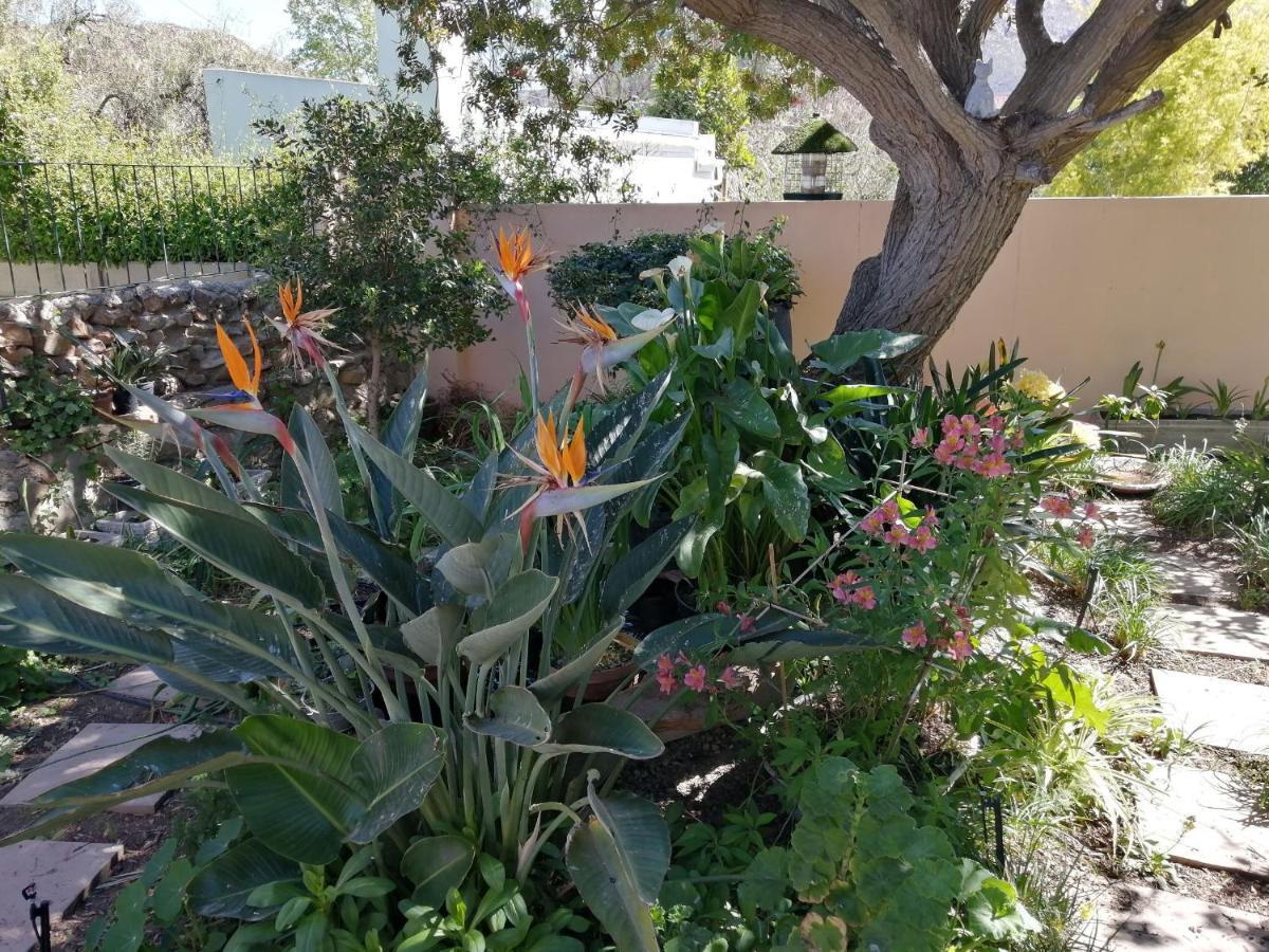 Squirrels Corner Bed & Breakfast Montagu Luaran gambar